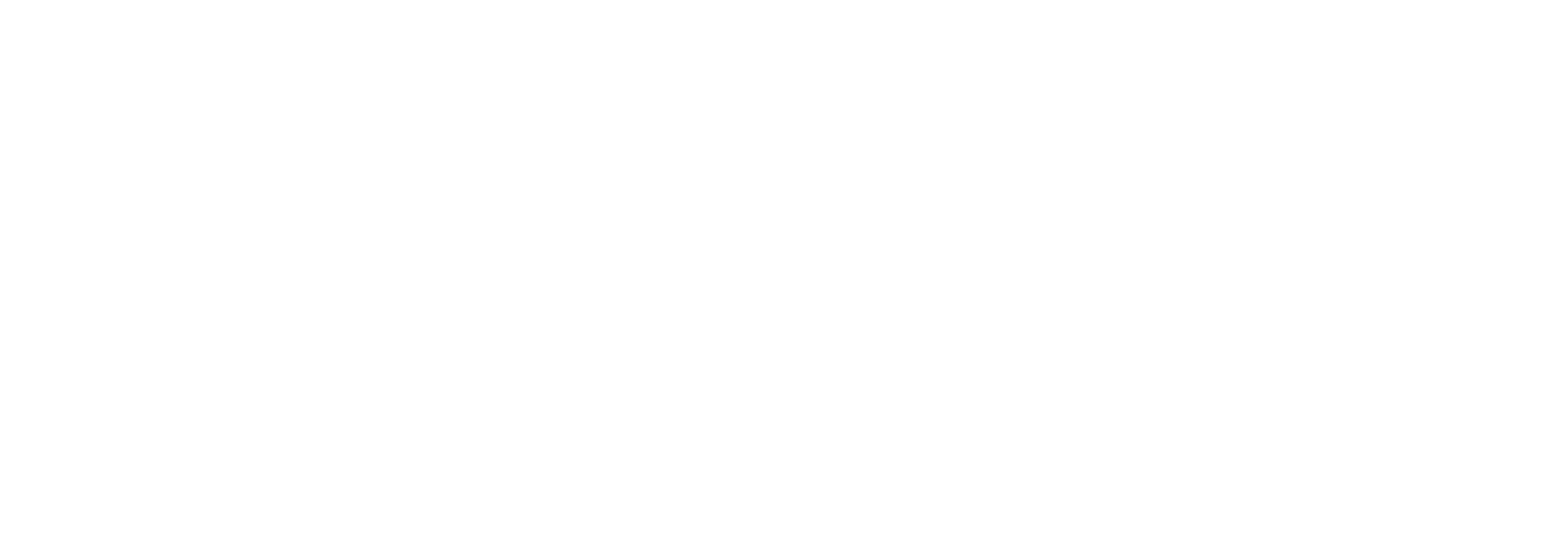 Logo Iveco Pfnier
